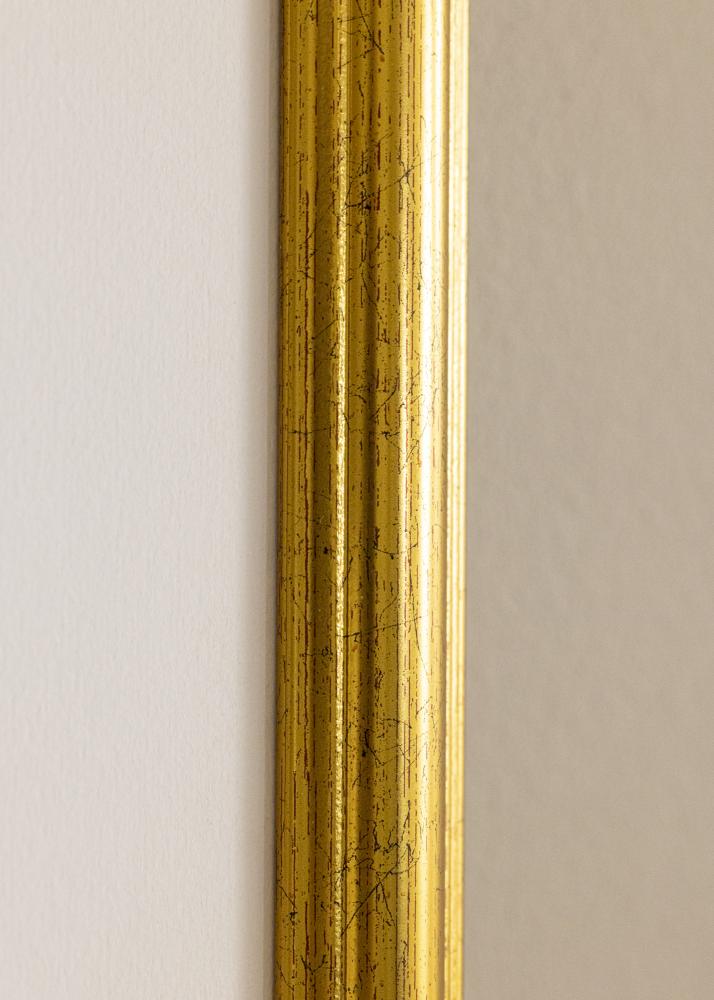 Galleri 1 Frame Vstkusten Acrylic glass Gold 19.69x25.59 inches (50x65 cm)