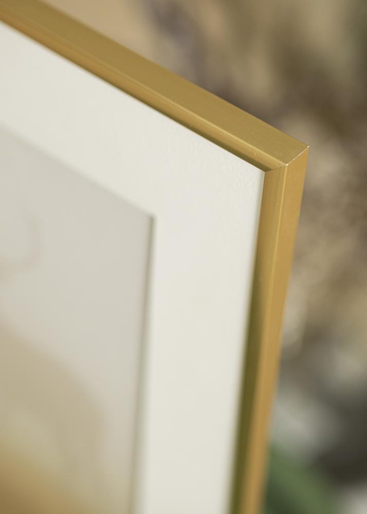 Ram med passepartou Frame New Lifestyle Shiny Gold 40x60 cm - Picture Mount White 30x50 cm