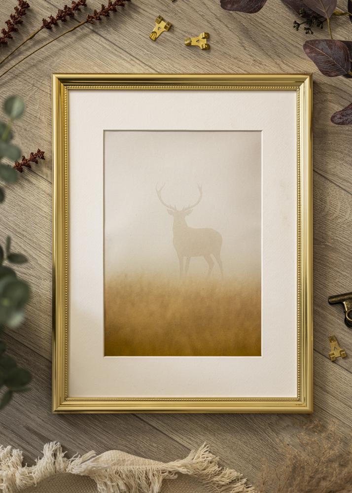 Artlink Frame Gala Acrylic Glass Gold 11.69x16.54 inches (29.7x42 cm - A3)