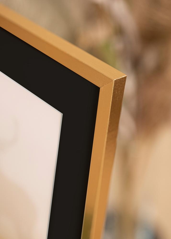 Ram med passepartou Frame Trendy Gold 40x40 cm - Picture Mount Black 10x10 inches