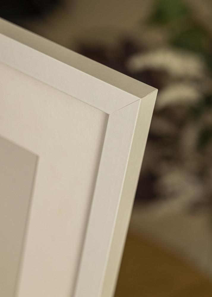 Ram med passepartou Frame Selection White 40x60 cm - Picture Mount White 25x50 cm