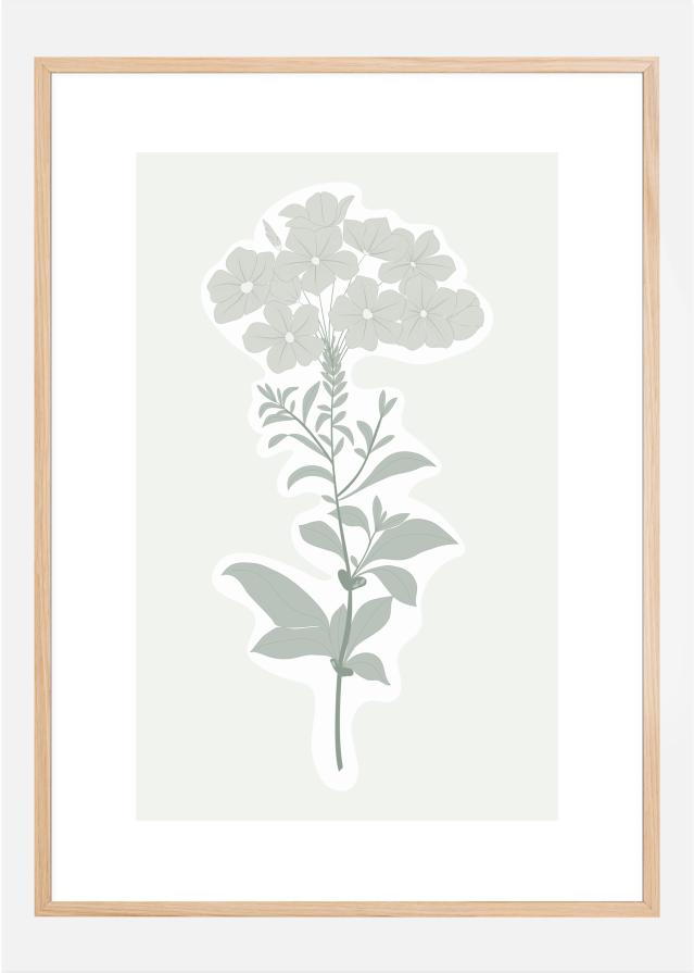 Bildverkstad BOTANIC Poster