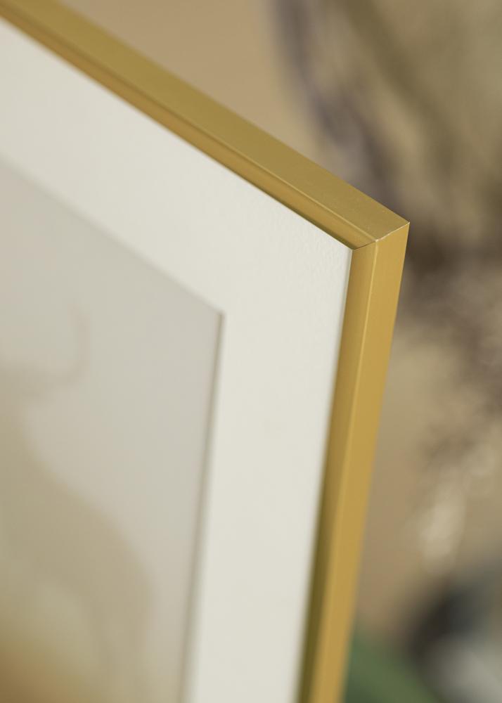 Ram med passepartou Frame New Lifestyle Gold 40x50 cm - Picture Mount White 27x35 cm