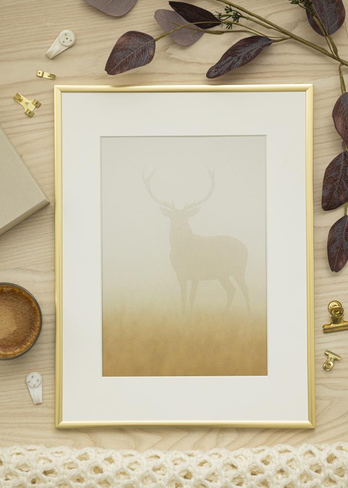 Ram med passepartou Frame New Lifestyle Gold 40x50 cm - Picture Mount White 27x35 cm