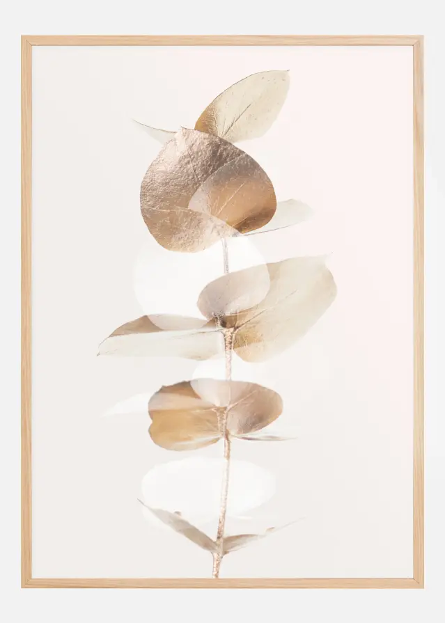 Bildverkstad Eucalyptus Creative Gold III Poster