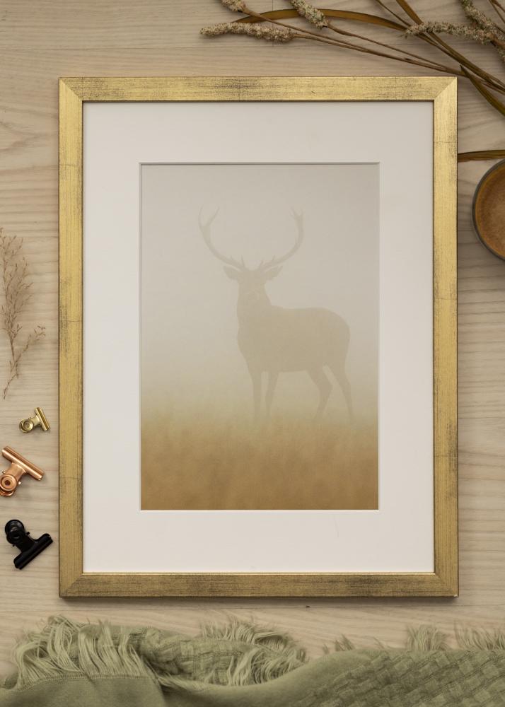 Ram med passepartou Frame Stilren Gold 60x60 cm - Picture Mount White 45x45 cm