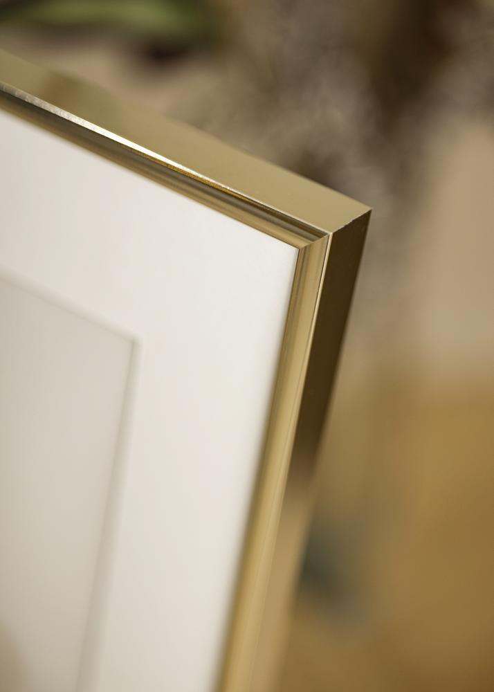 Ram med passepartou Frame Aluminium Shiny Gold 30x40 cm - Picture Mount White 21x29,7 cm (A4)