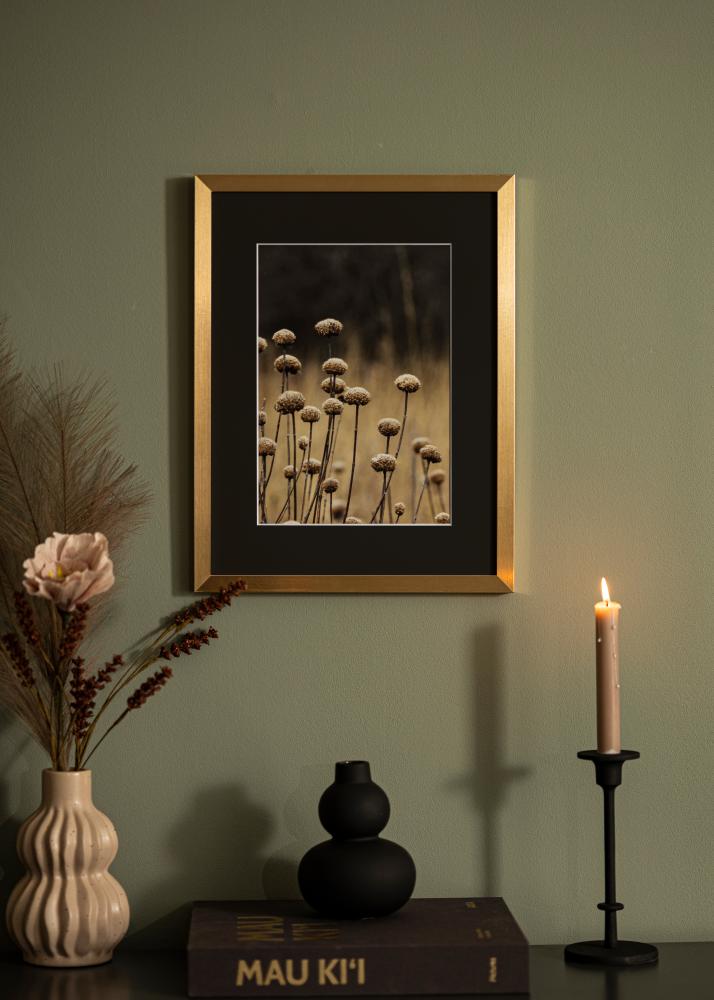 Ram med passepartou Frame Selection Gold 70x90 cm - Picture Mount Black 24x30 inches