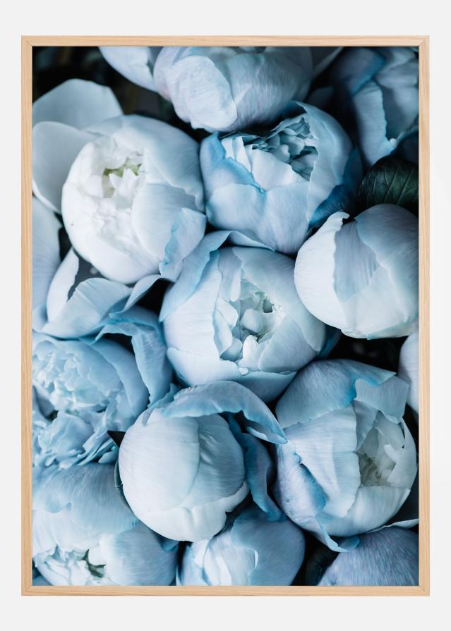 Bildverkstad Peonies Poster