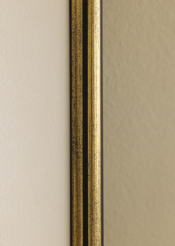 Galleri 1 Frame Horndal Acrylic glass Gold 18x24 inches