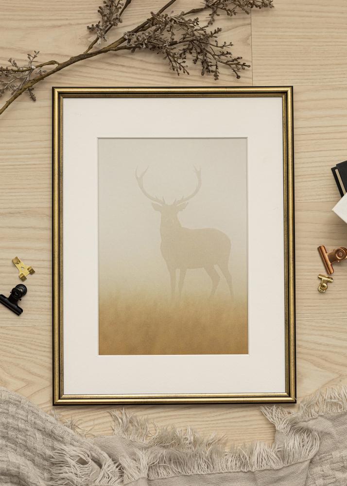 Ram med passepartou Frame Horndal Gold 20x25 cm - Picture Mount White 14x18 cm