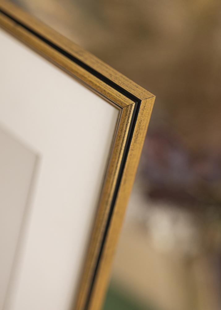 Ram med passepartou Frame Horndal Gold 40x60 cm - Picture Mount White 25x50 cm