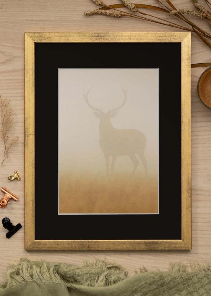 Ram med passepartou Frame Stilren Gold 60x60 cm - Picture Mount Black 50x50 cm