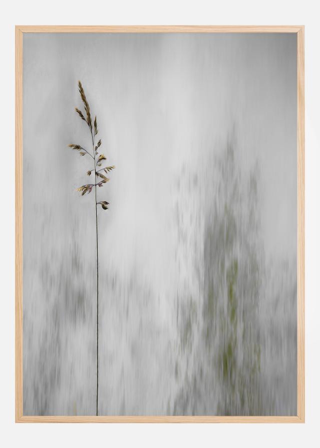 Bildverkstad Blade of grass Poster