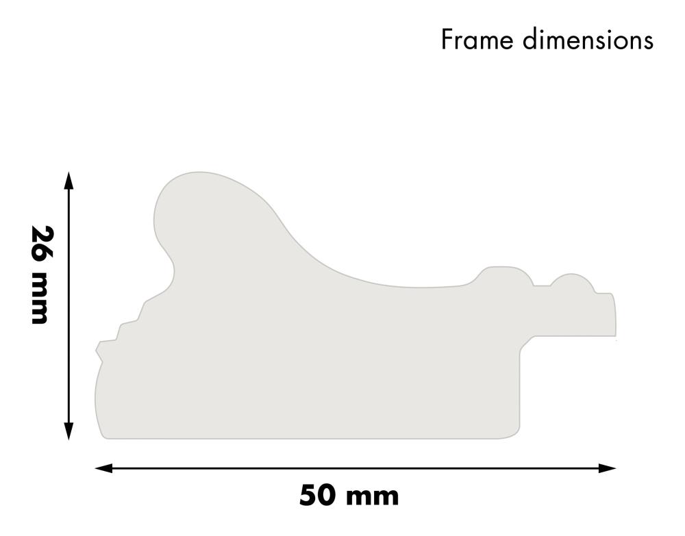 Estancia Frame Rokoko Acrylic glass Gold 11.81x15.75 inches (30x40 cm)