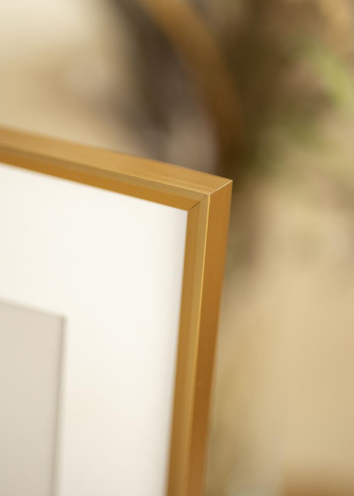 Ram med passepartou Frame Desire Gold 40x50 cm - Picture Mount White 12x16 inches