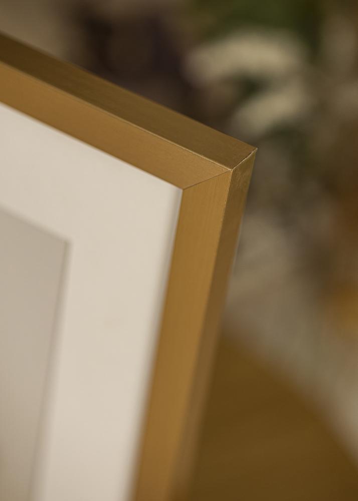 Artlink Frame Selection Acrylic Glass Gold 15.75x23.62 inches (40x60 cm)