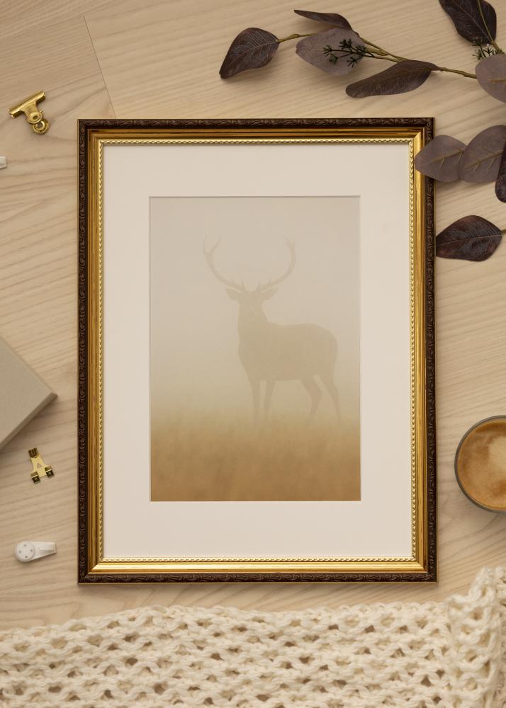 Galleri 1 Frame Abisko Acrylic Glass Gold 17.72x17.72 inches (45x45 cm)