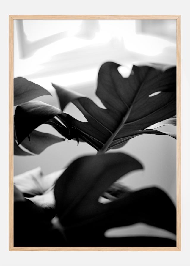 Bildverkstad Monstera in Black and White l Poster