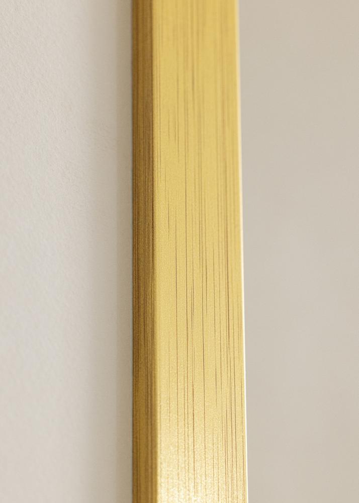 Galleri 1 Frame Gold Wood Acrylic glass 11.81x23.62 inches (30x60 cm)