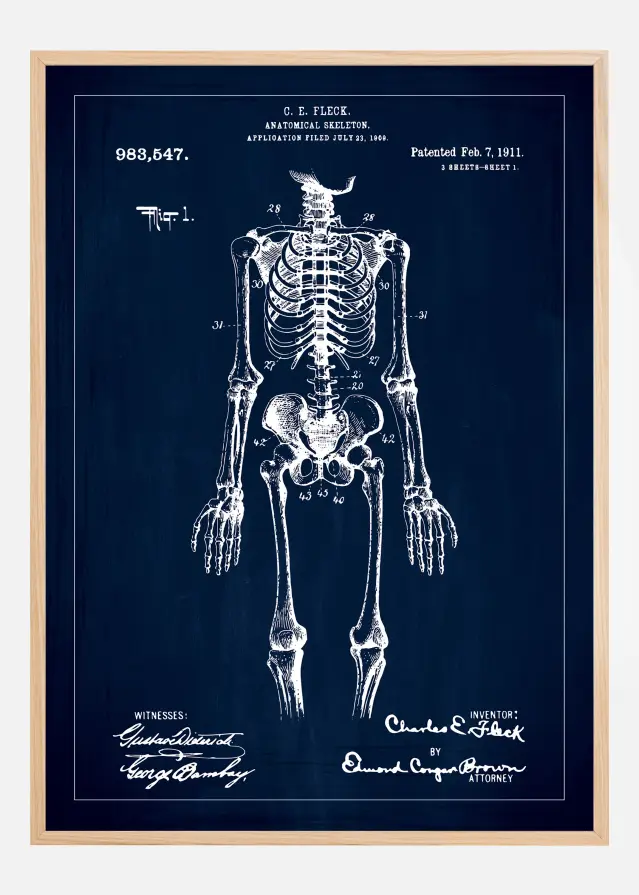 Bildverkstad Patent drawing - Anatomical Skeleton I - Blue Poster