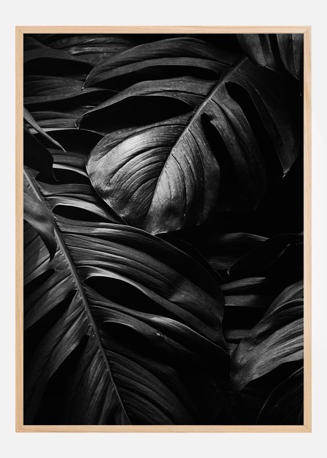 Bildverkstad Black Leaves Poster