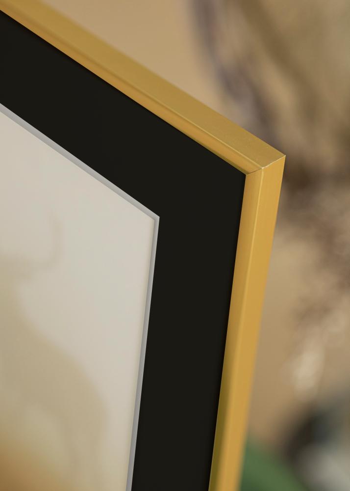 Ram med passepartou Frame New Lifestyle Gold 50x70 cm - Picture Mount Black 16x24 inches