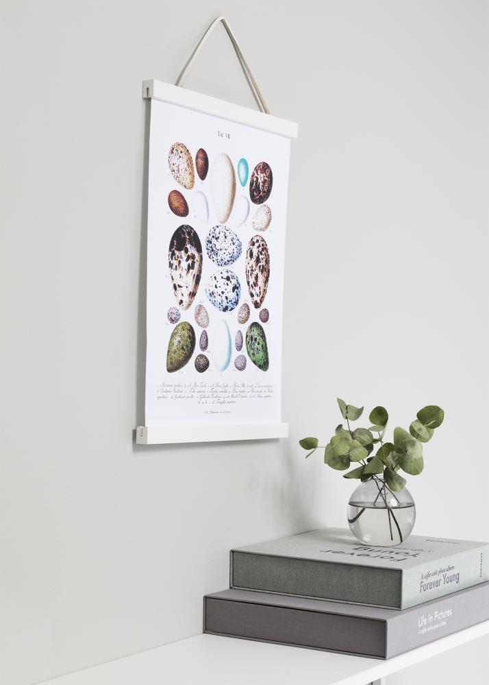 Focus Poster hangers White - 40 cm