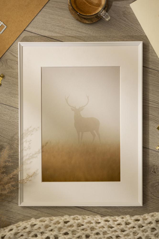 Ram med passepartou Frame Desire White 40x50 cm - Picture Mount White 12x16 inches